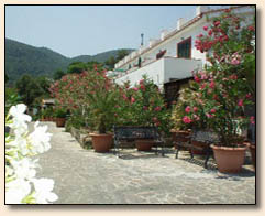 Click here to view Pagoda Apartments