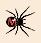 Please click here to contact Paradigm Web Solutions Ltd